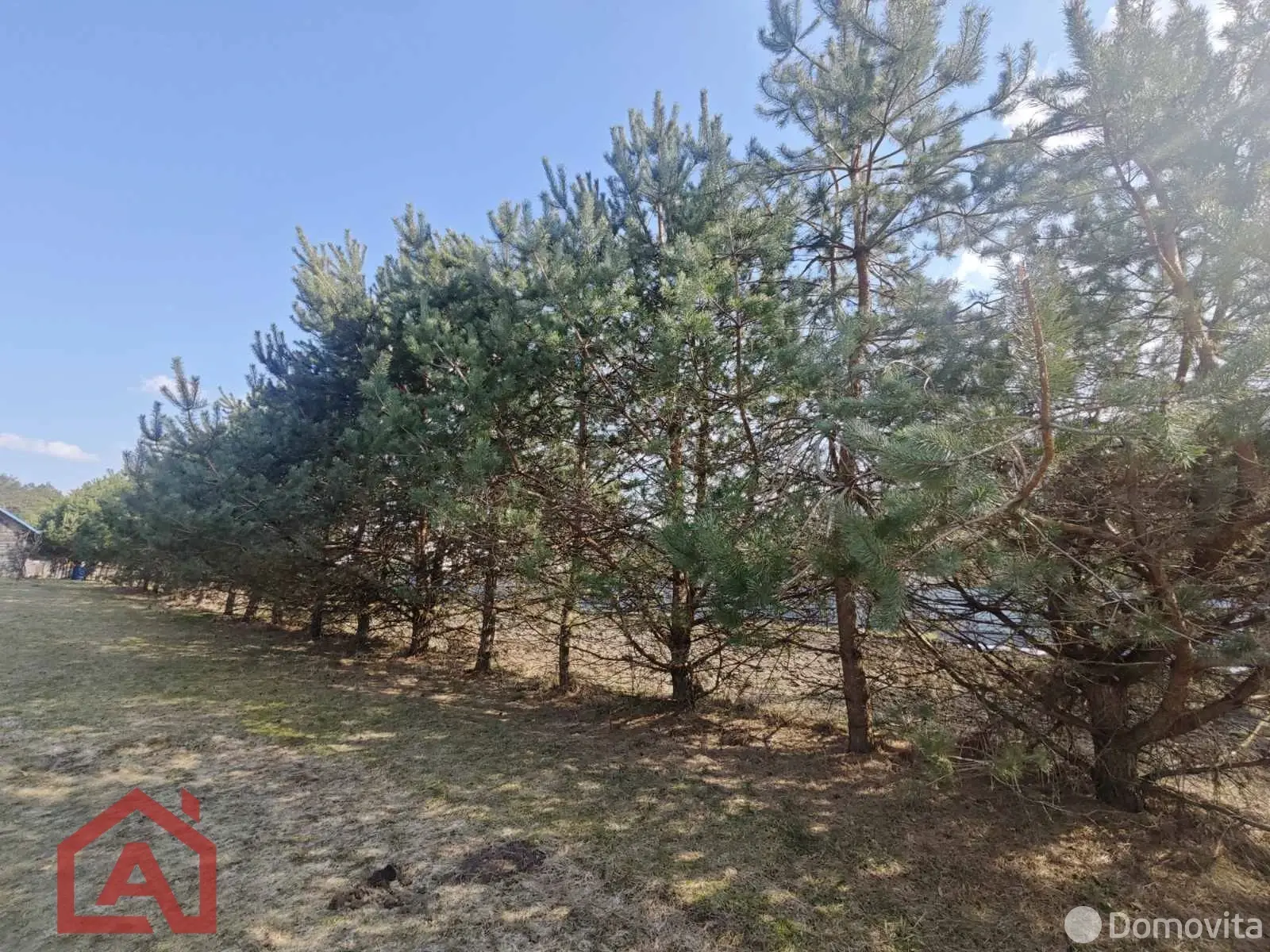 Цена продажи участка, Мочаны, ул. Заречная, д. 33Б