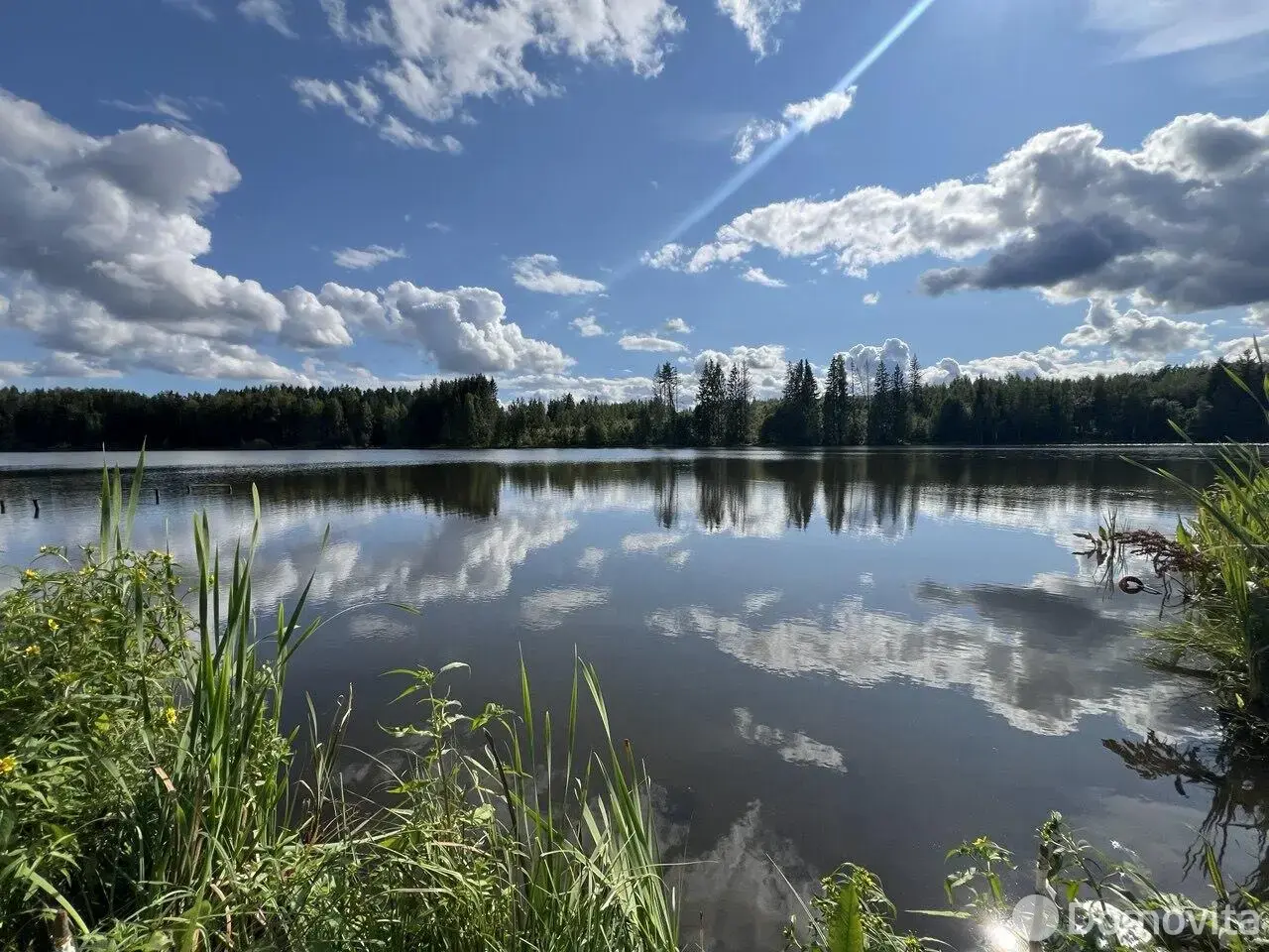 Купить земельный участок, 15.84 соток, Дички, Минская область, 59000USD, код 570942 - фото 20