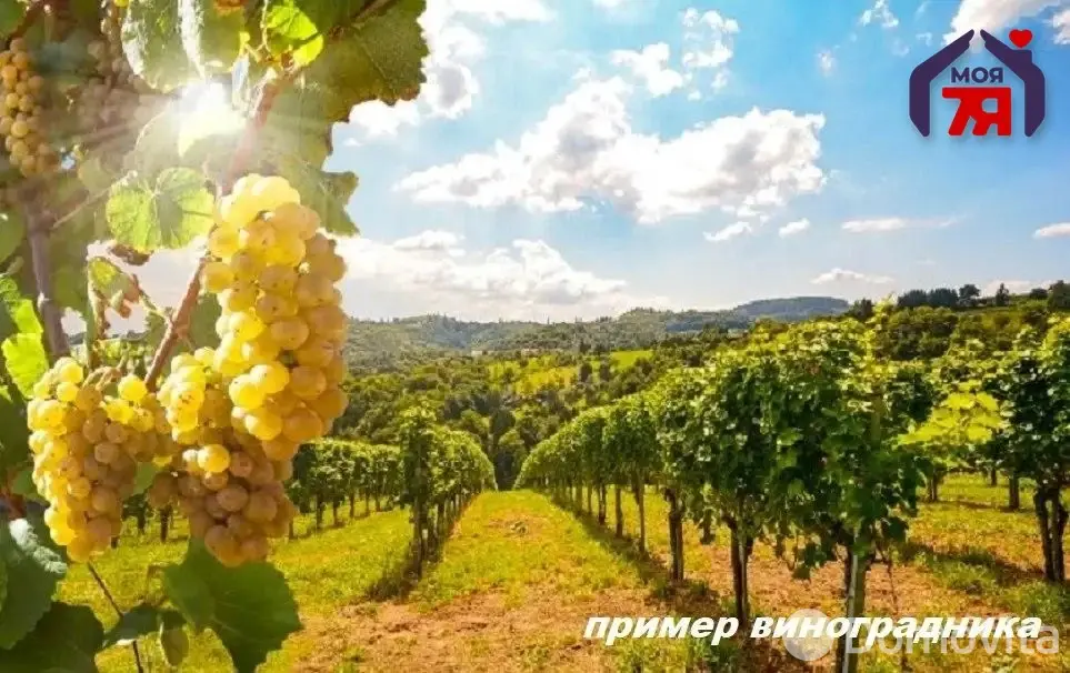 Купить земельный участок, 25 соток, Гиревичи, Минская область, 135000BYN, код 572646 - фото 16