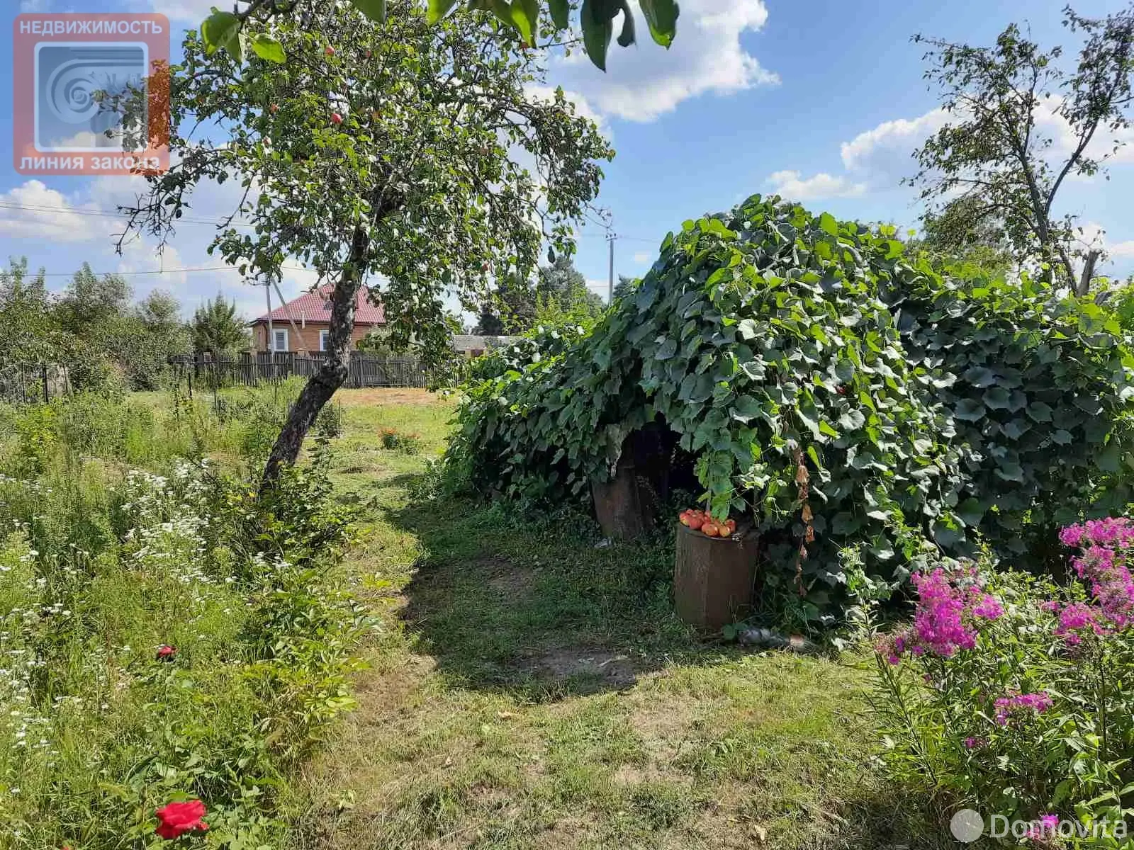 дом, Большевик, ул. Октябрьская