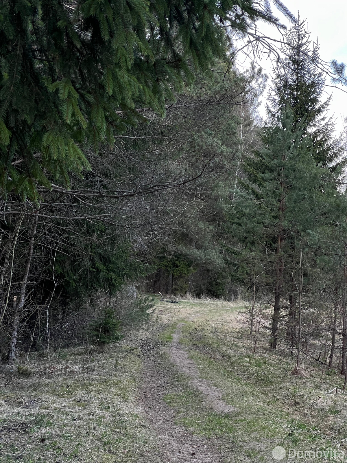 Купить 1-этажную дачу в Зеленый дол Минская область, 35000USD, код 185545 - фото 19