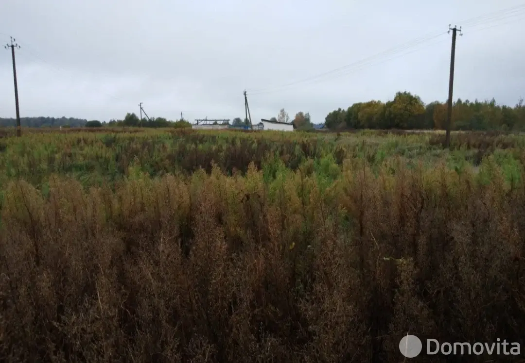 дом, Волосово, ул. Полевая