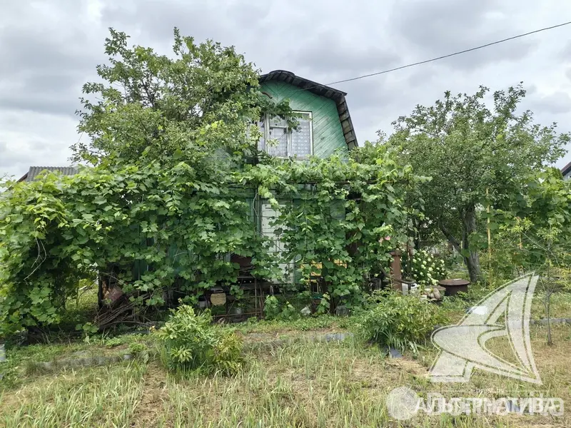 купить дачу, Леснянка,