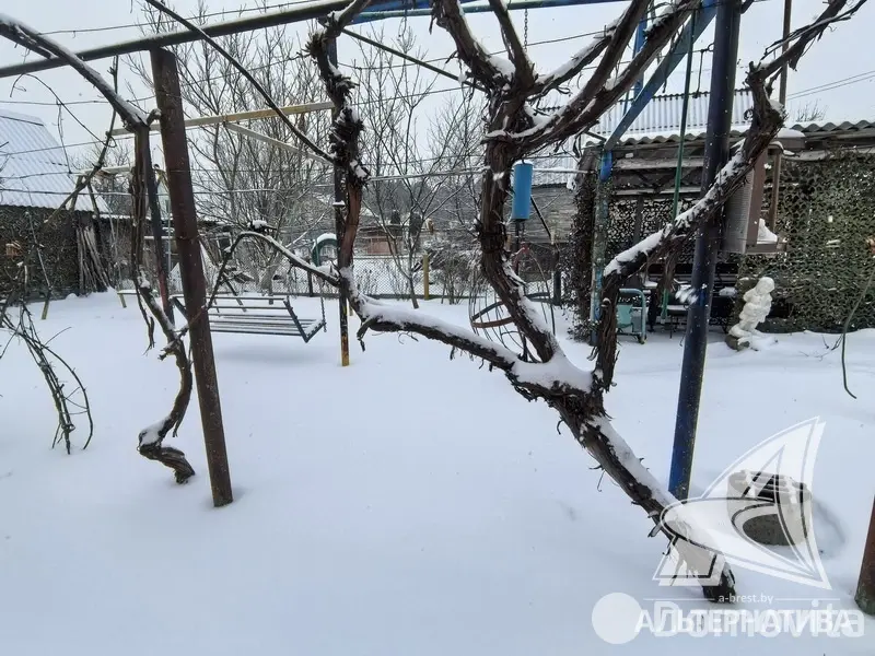 Продажа 2-этажной дачи в Жемчужина-1988 Брестская область, 45000USD, код 184775 - фото 33