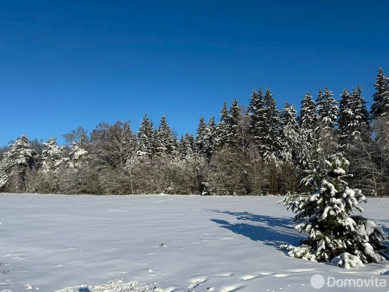 Купить земельный участок, 15 соток, Каралино, Минская область, 65000USD, код 571590 - фото 2