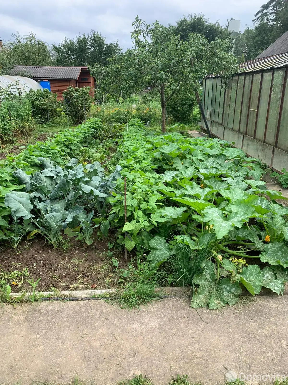 Продажа 2-этажной дачи в СЯБРЫ-83 Минская область, 12300USD, код 185634 - фото 11