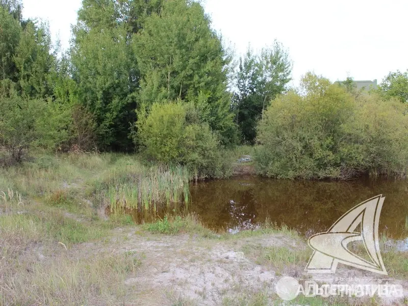 Стоимость продажи участка, Брест,