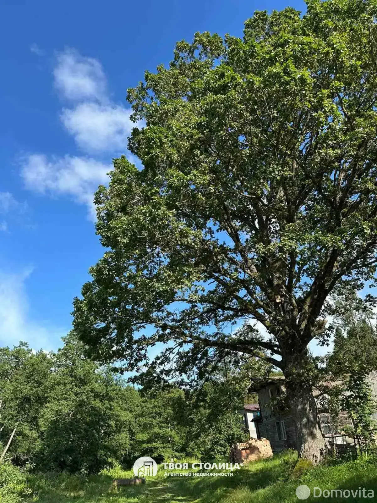 дом, Ислочь,