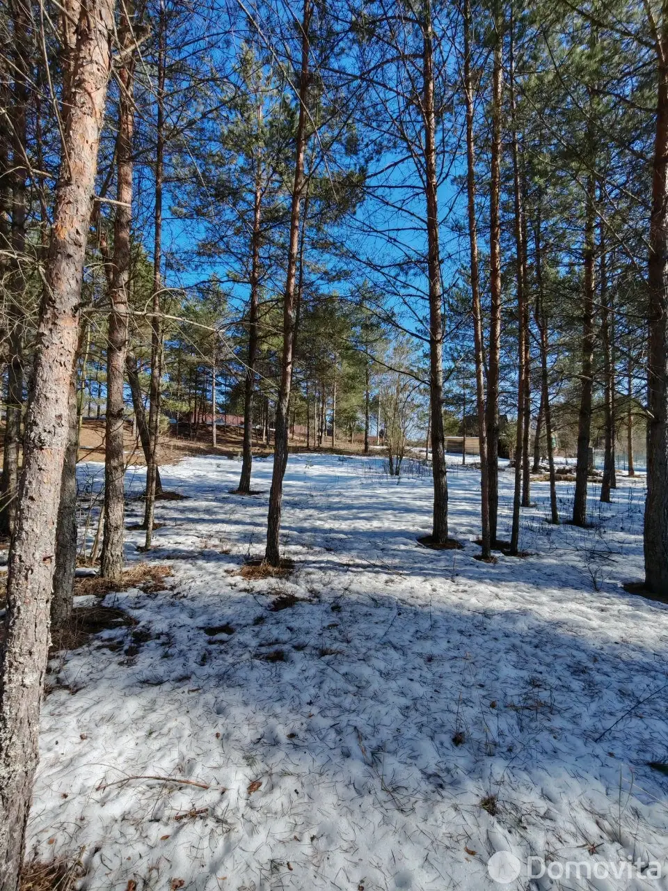 Цена продажи участка, Вишневый сад Витебского района, 