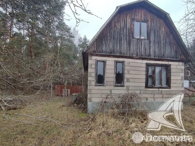 Купить 1-этажную дачу в Чернинский Родничок Брестская область, 14900USD, код 184251 - фото 3