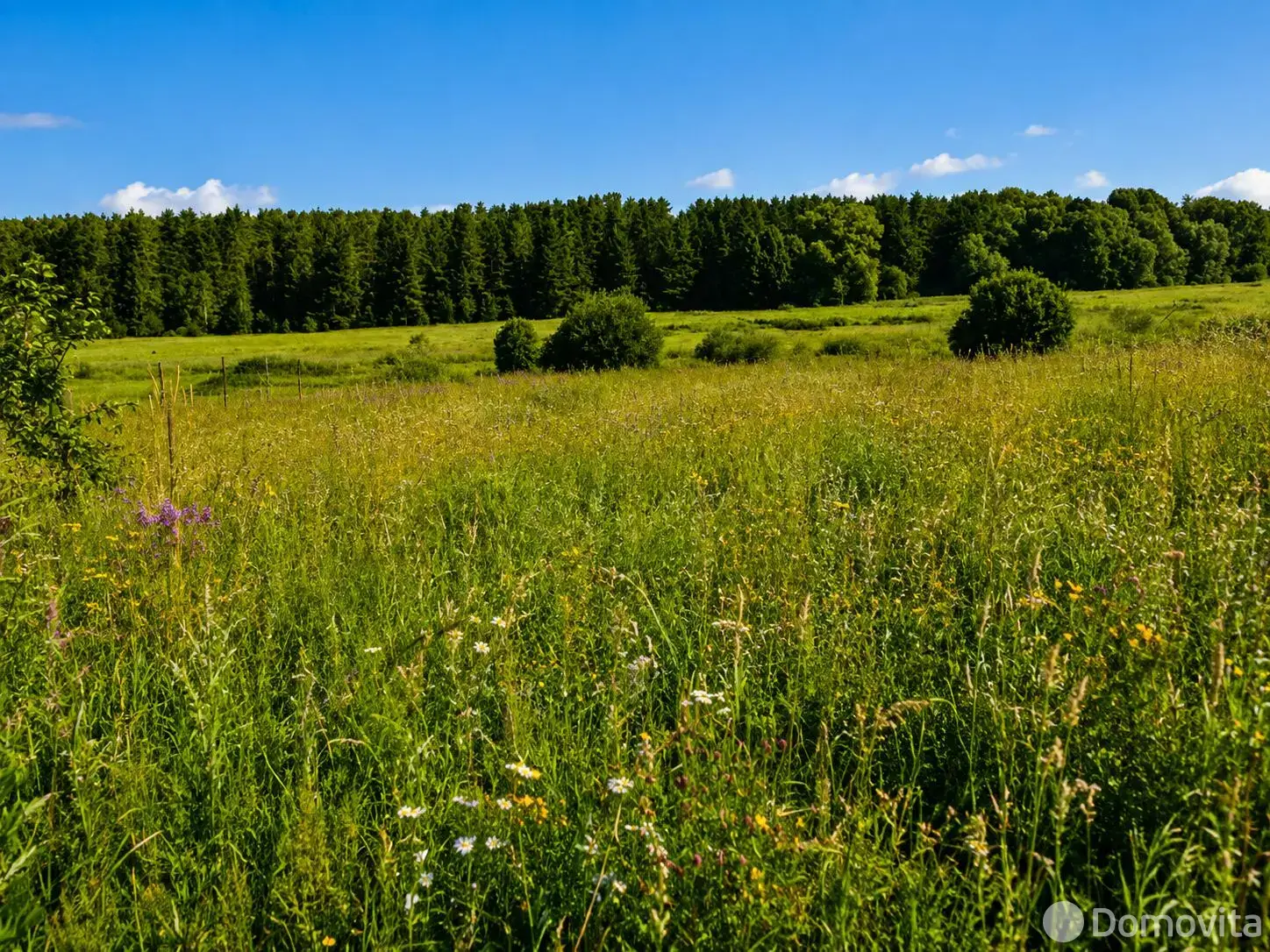 участок, Чирвоная Заря,