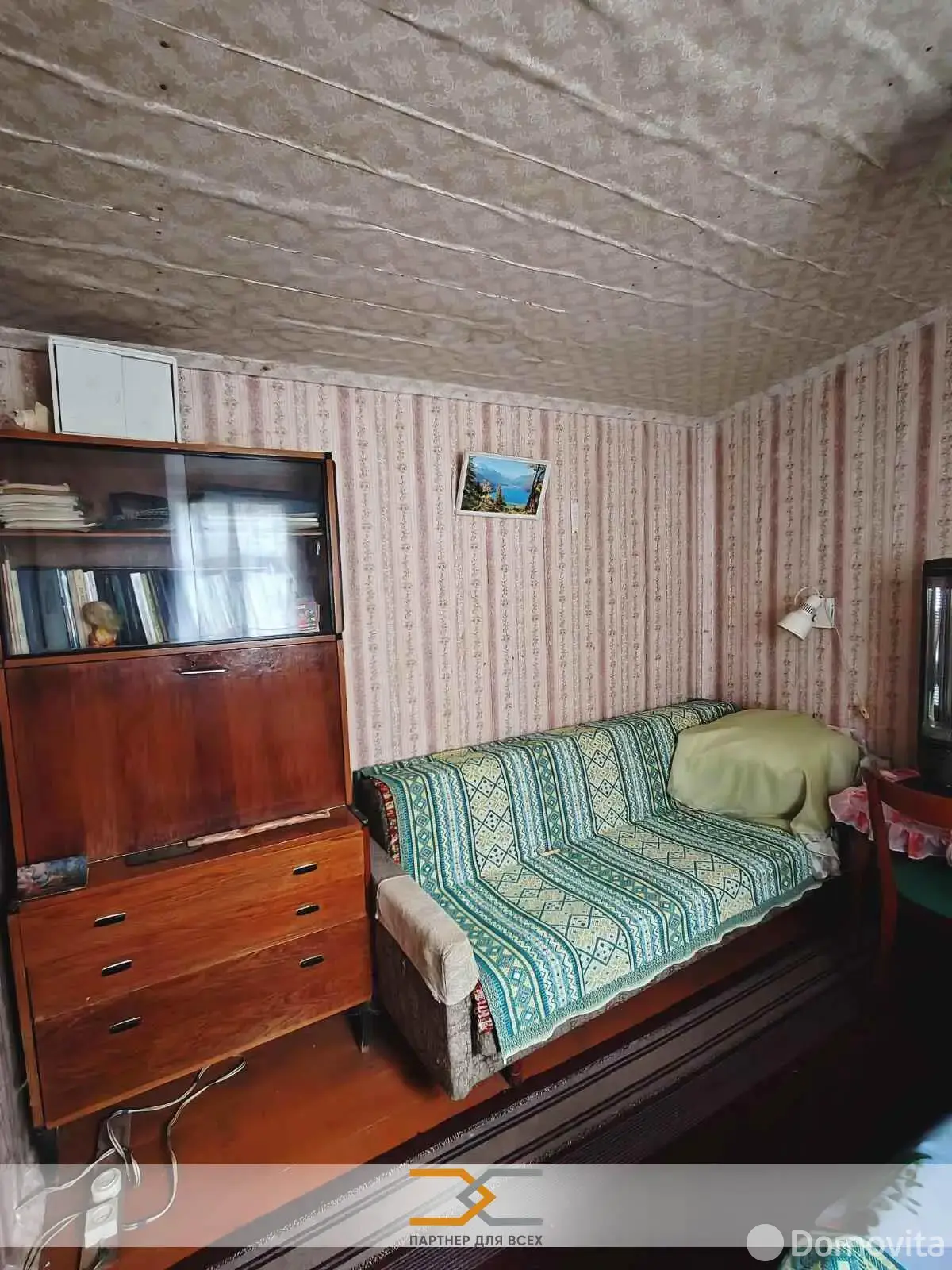 дача, Ромашка Соломореченская,