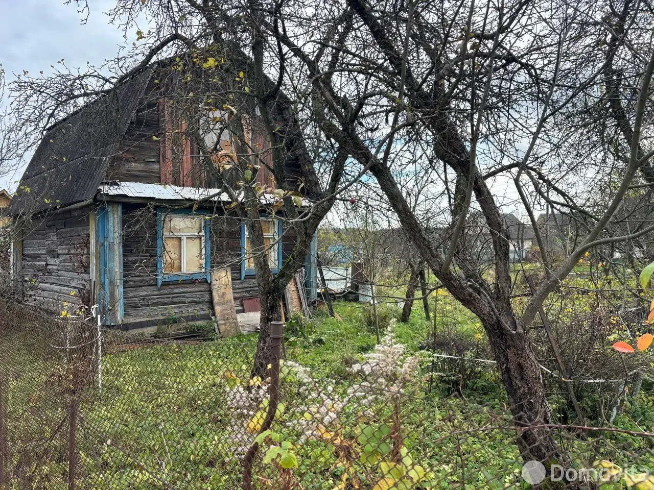 дача, Шарик,