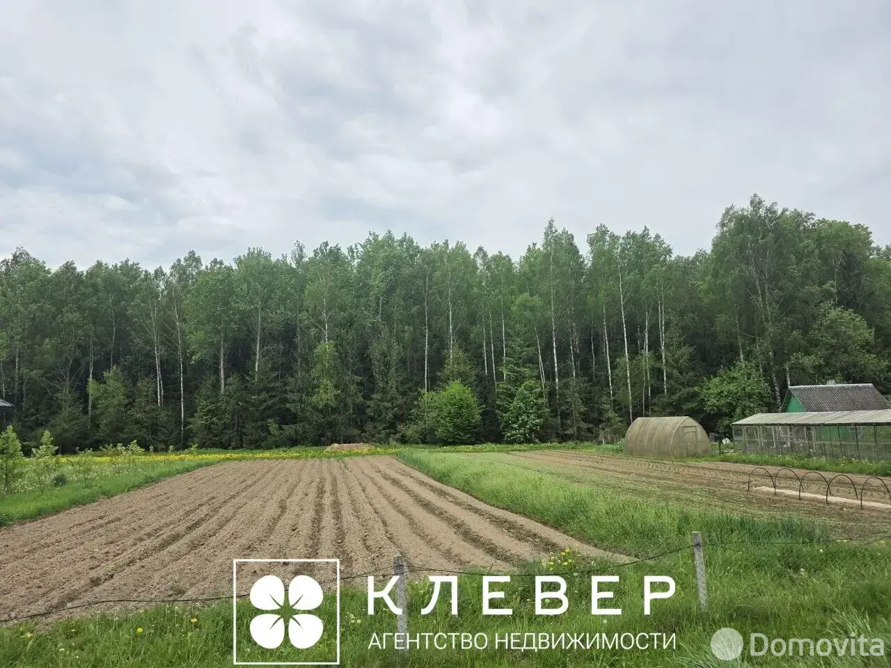 Купить земельный участок, 25 соток, Дещенка, Минская область, 35000USD, код 571987 - фото 14