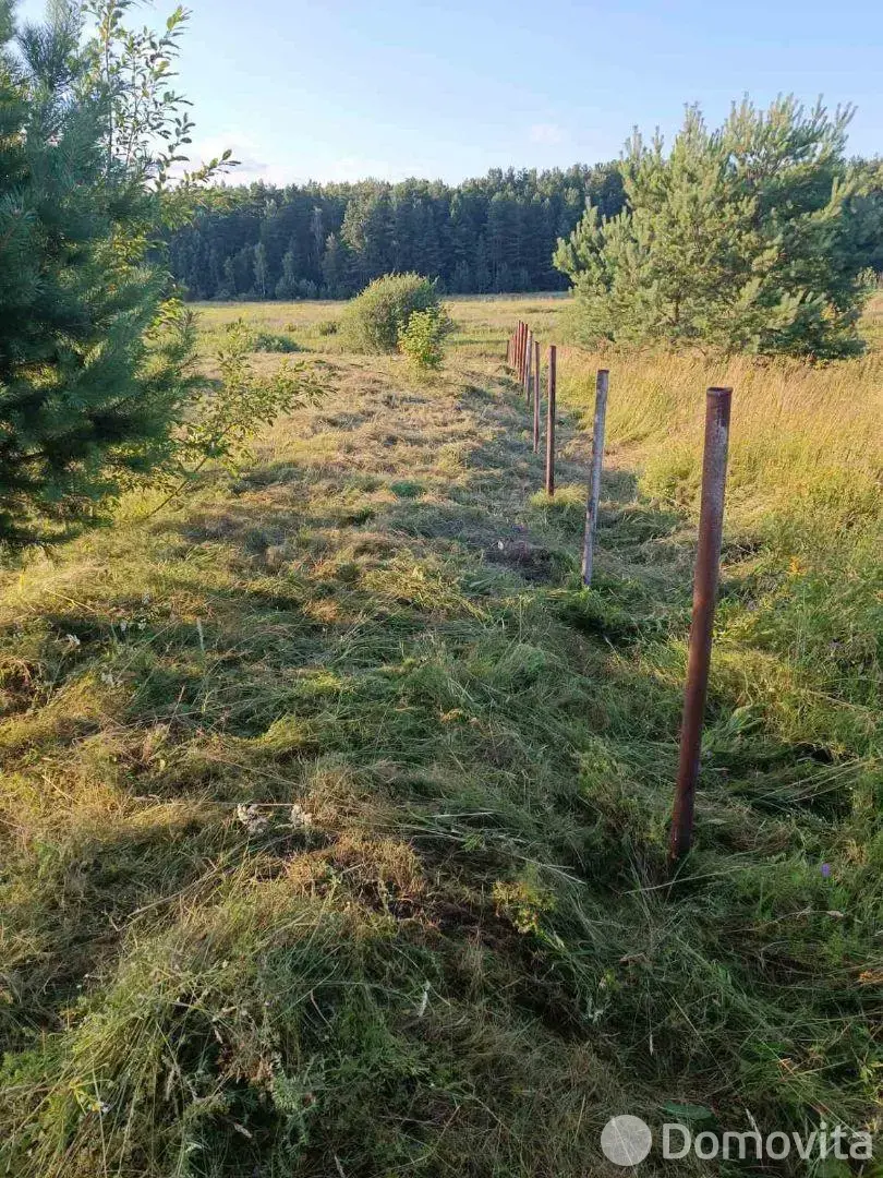 участок, Чирвоная Заря, 