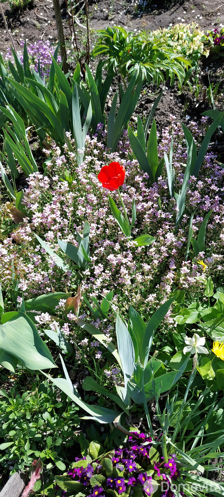 Купить 2-этажную дачу в Солигорске Минская область, 6900USD, код 182565 - фото 13