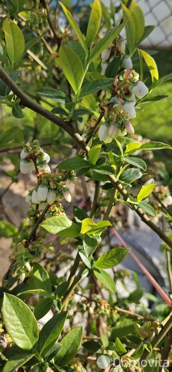 участок, Крап, 