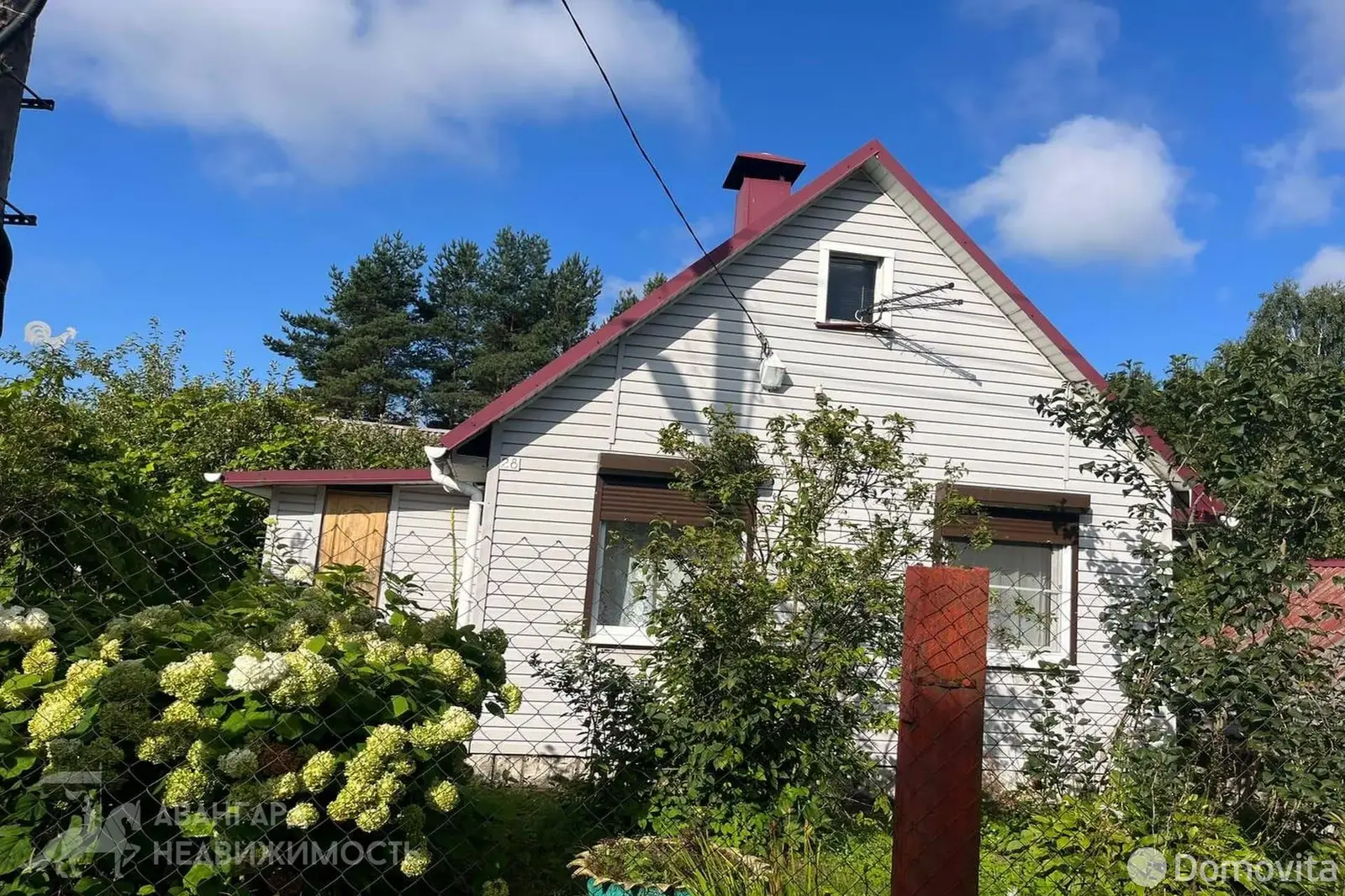 дача, Мотор, 