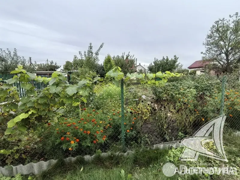 Продажа 1-этажной дачи в Керамик-1 Брестская область, 19000USD, код 184197 - фото 19