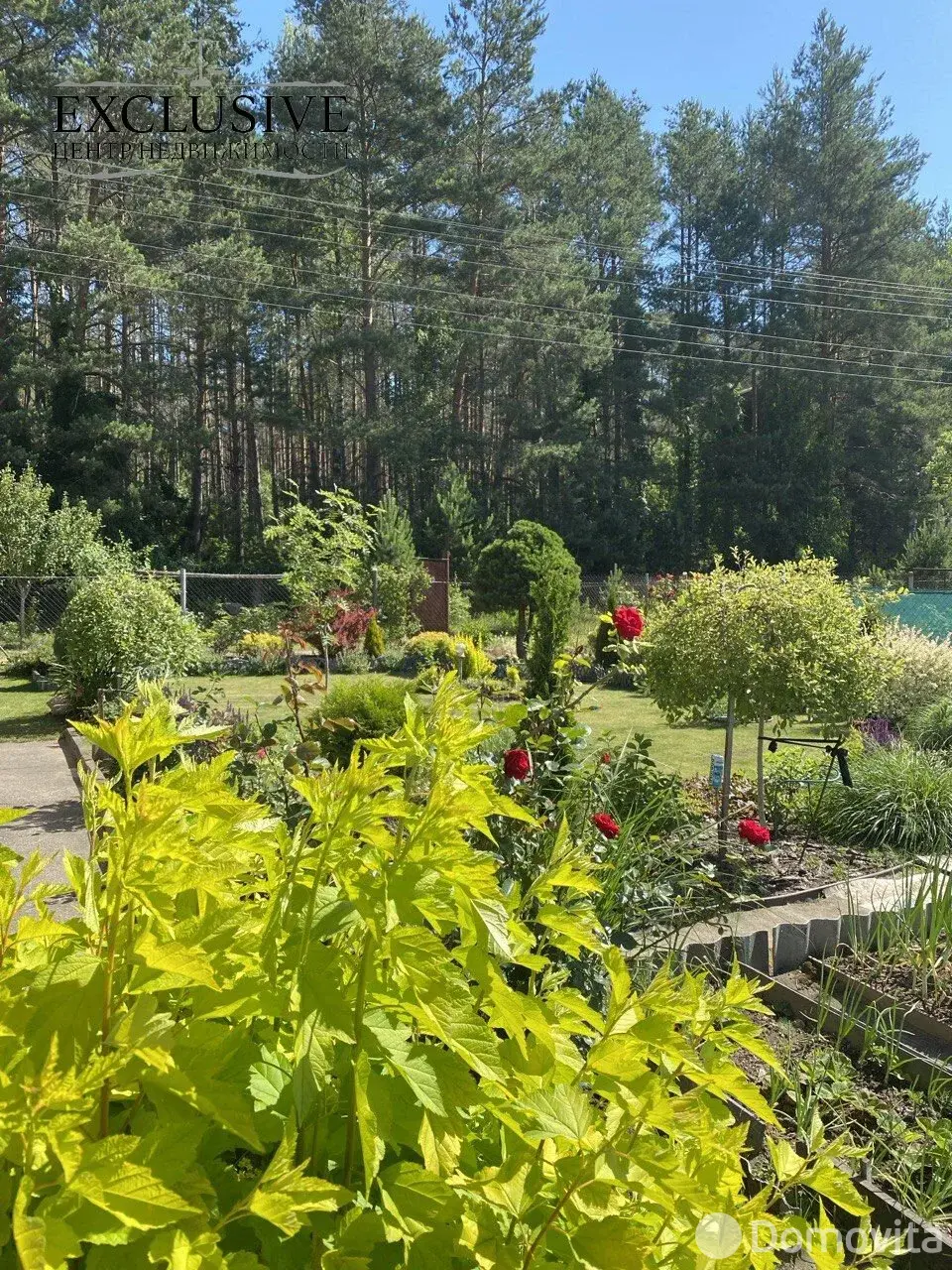 Купить 1-этажную дачу в Ива-1988 Минская область, 38000USD, код 185228 - фото 24