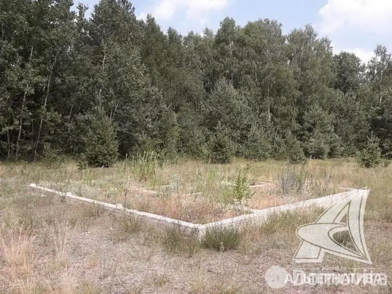 дом, Домачево, , стоимость продажи 31 996 р.