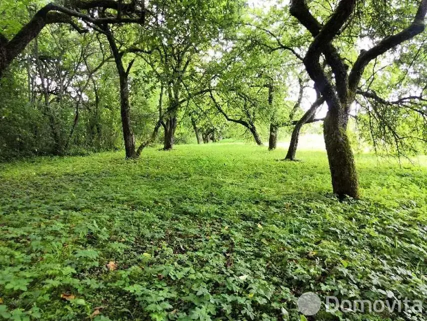 Купить земельный участок, 60 соток, Должа, Витебская область, 25000USD, код 570473 - фото 24