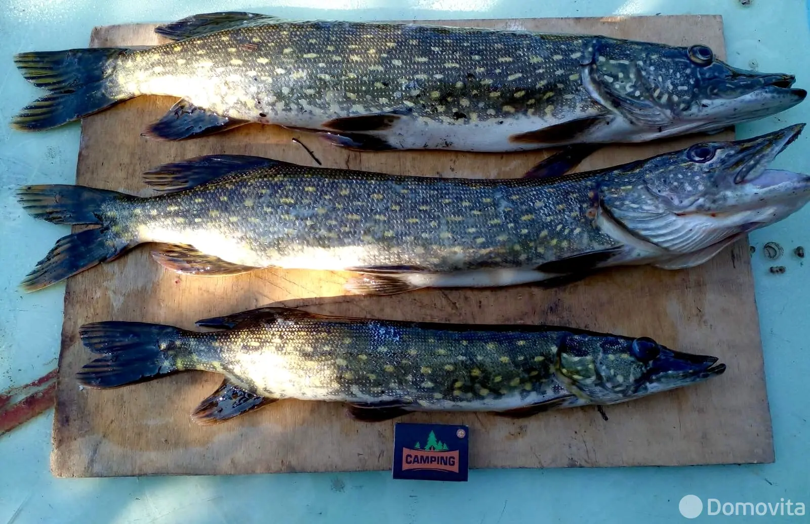 Купить земельный участок, 11 соток, Поставы, Витебская область, 10000USD, код 571241 - фото 15