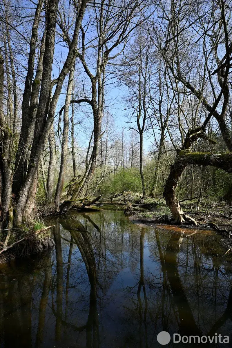 Купить земельный участок, 19.96 соток, Марковщина, Минская область, 35000USD, код 571552 - фото 32