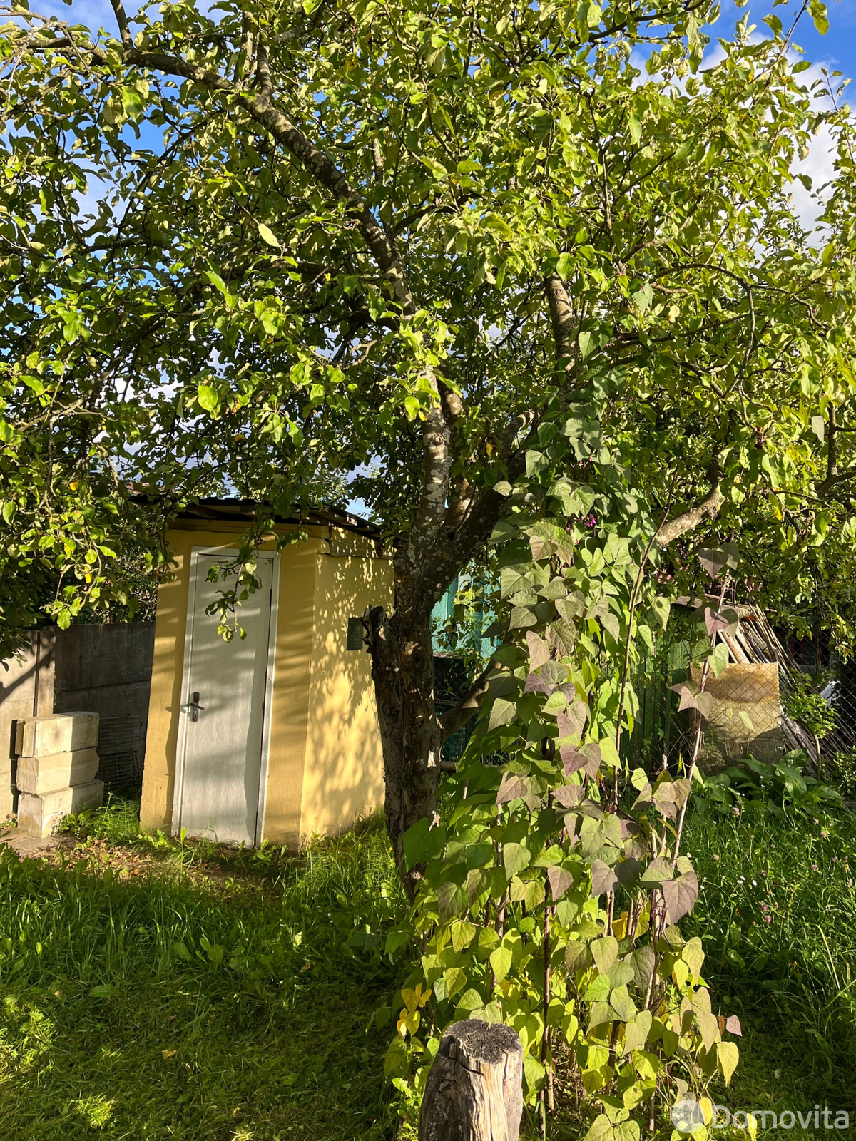 Продажа 1-этажной дачи в Галург Минская область, 7600USD, код 185383 - фото 11