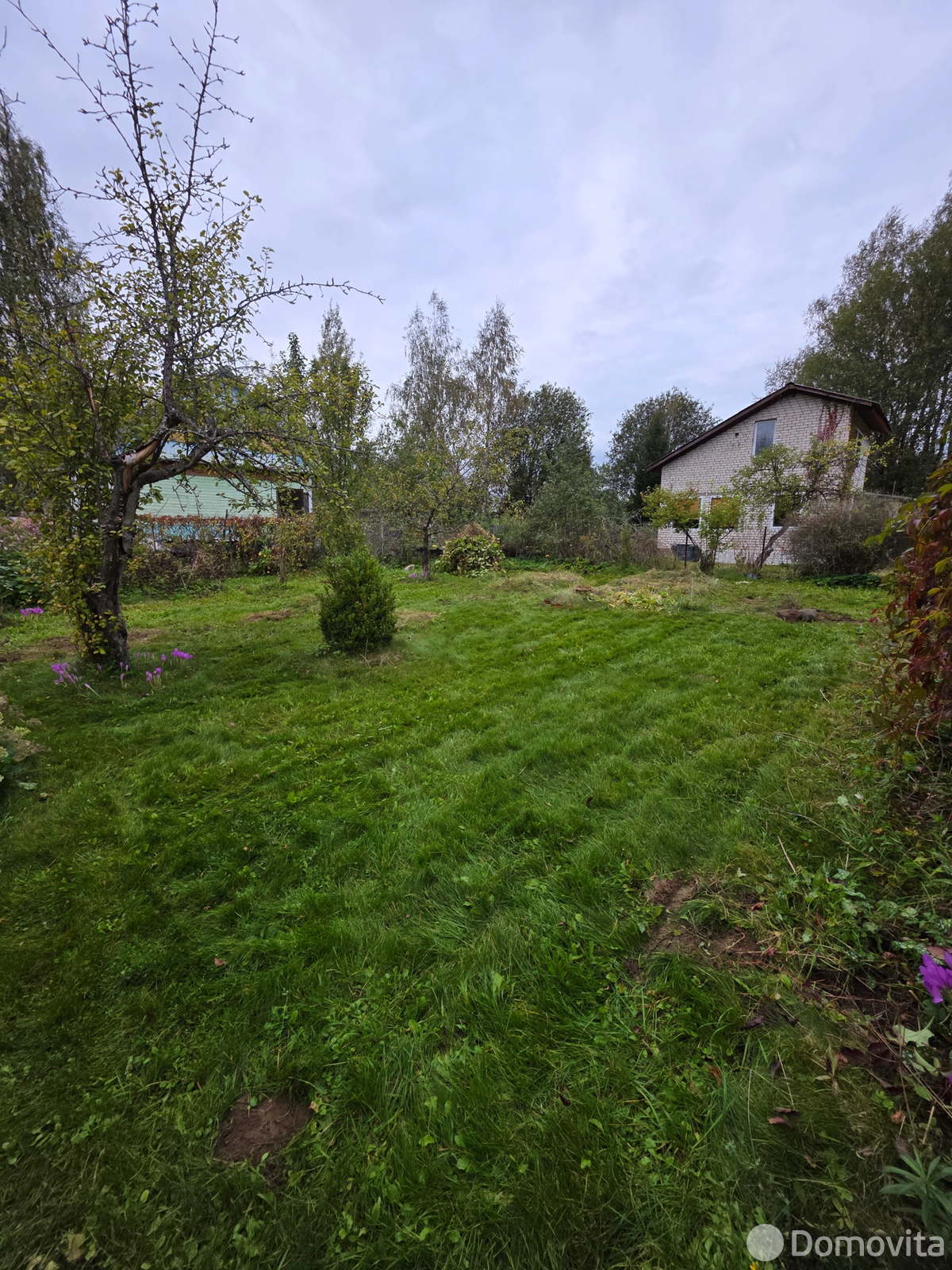 купить дачу, Микробиолог, 