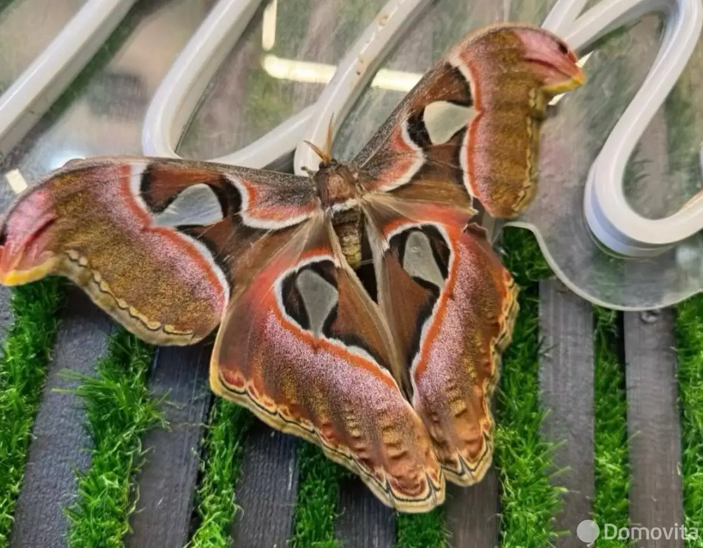 Купить помещение под сферу услуг в Минске, ул. Кирилла Туровского, д. 16 - фото 29