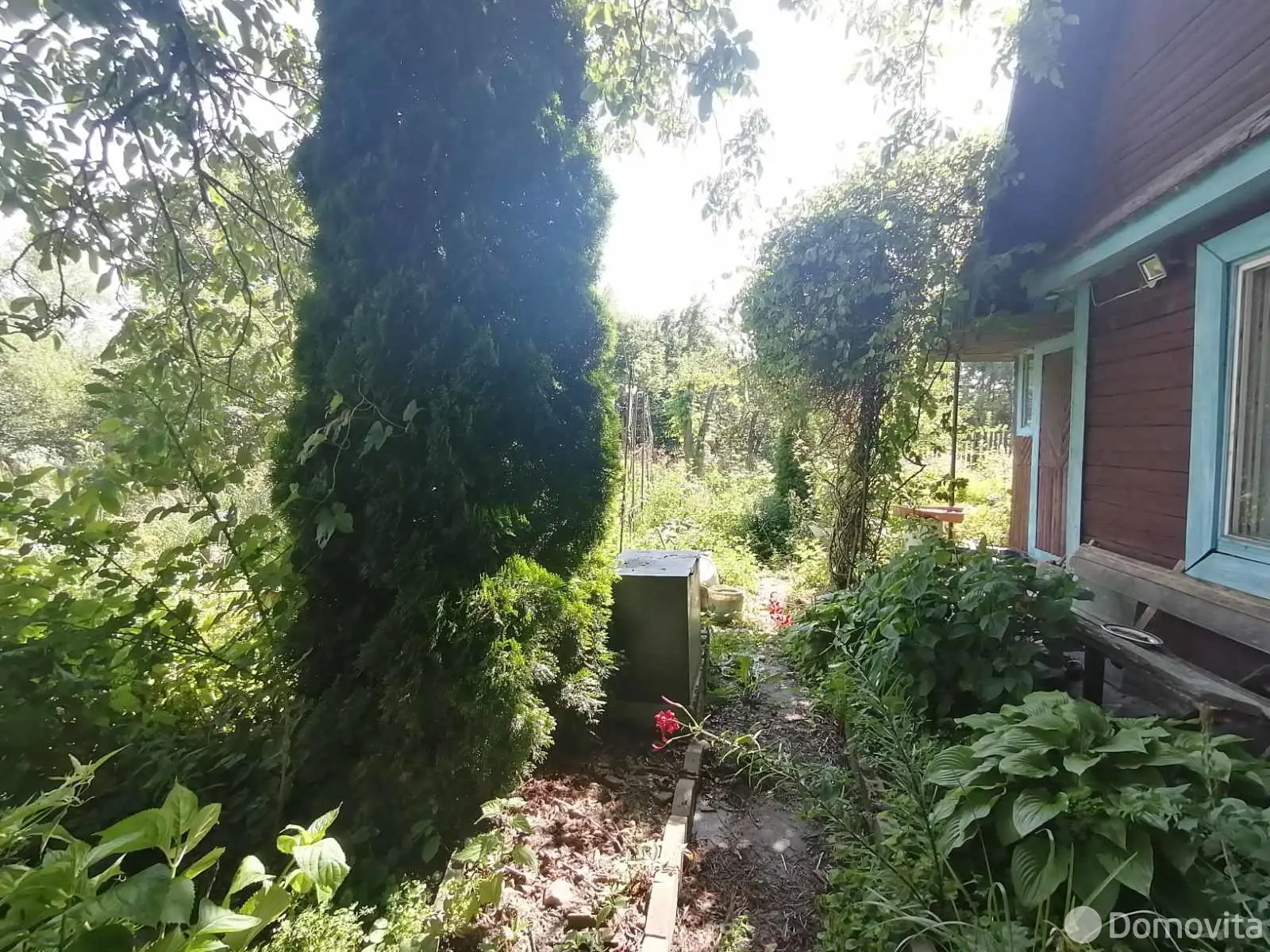 купить дачу, Ромашка, 