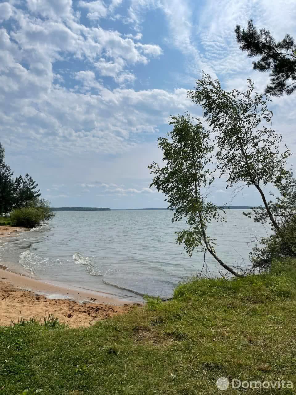 дом, Чижевичи, ул. Чижевичская