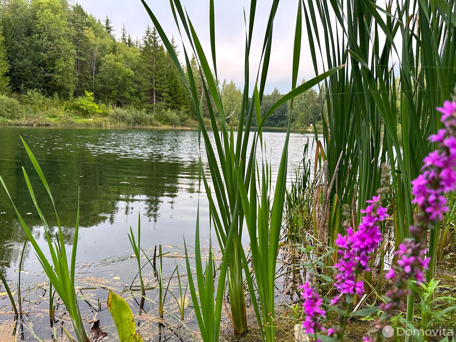 Купить 2-этажную дачу в ОРБИТА-82 Минская область, 16500USD, код 173300 - фото 30