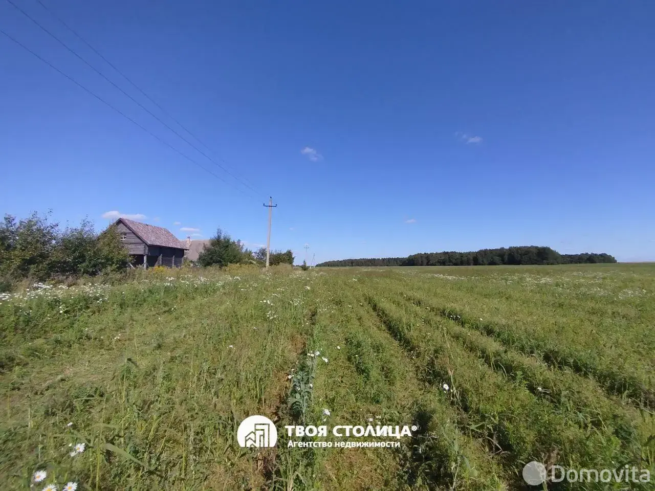 Купить земельный участок, 25 соток, Плашево, Минская область, 29000USD, код 571020 - фото 24