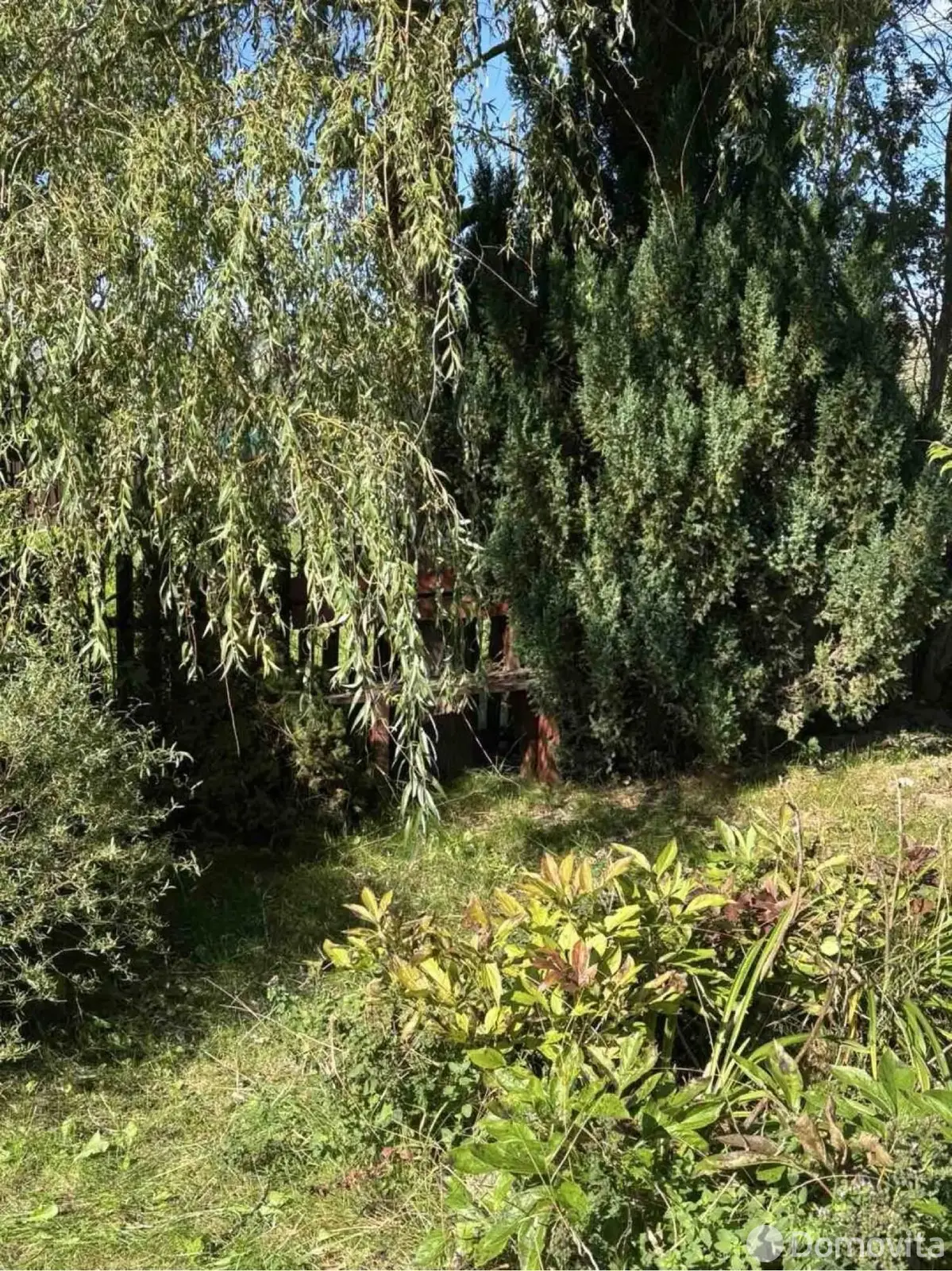 дом, Ржище, 