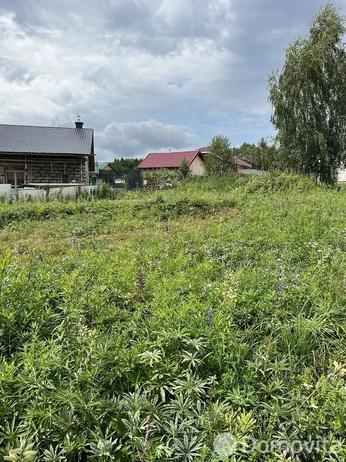 участок, Птичь-2,