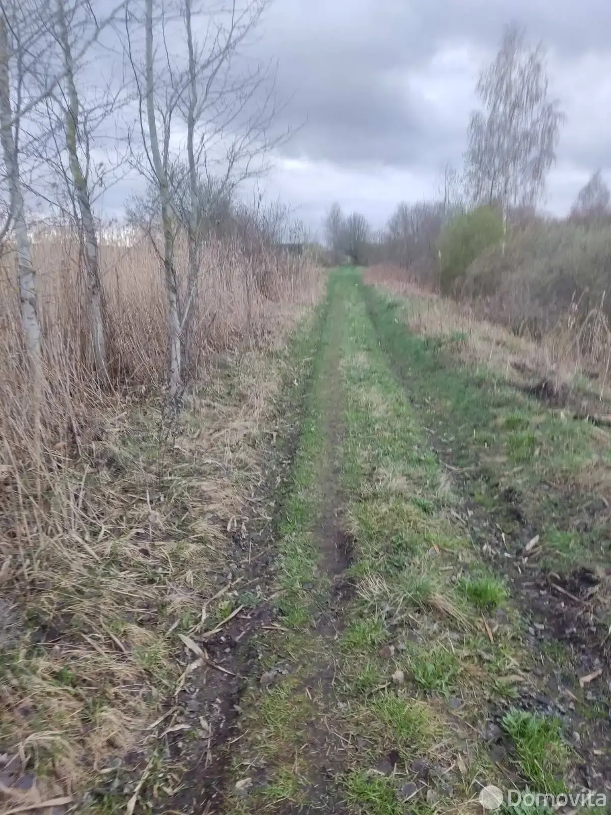 Купить 1-этажную дачу в Полочанах Минская область, 14000USD, код 184763 - фото 11