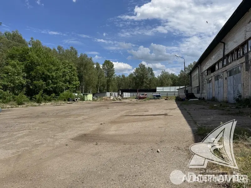 Купить помещение под сферу услуг в Борисово, - фото 12
