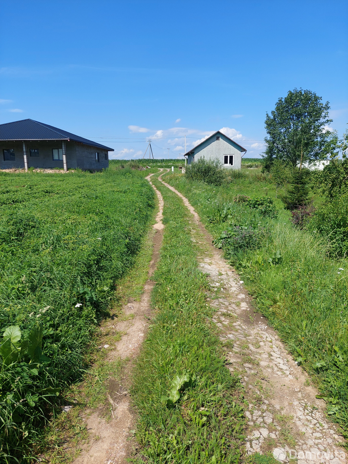 участок, Рыжики, ул. Центральная
