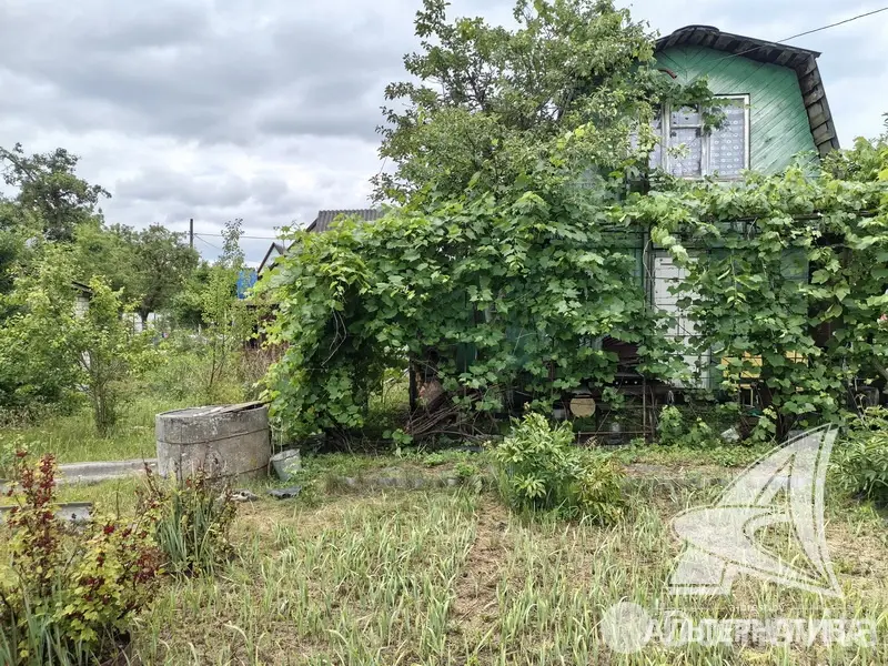 купить дачу, Леснянка,