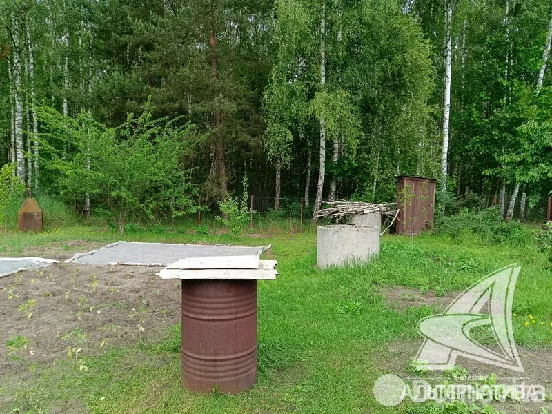 Купить земельный участок, 6.97 соток, Журавинка-83, Брестская область, 11500USD, код 570456 - фото 12