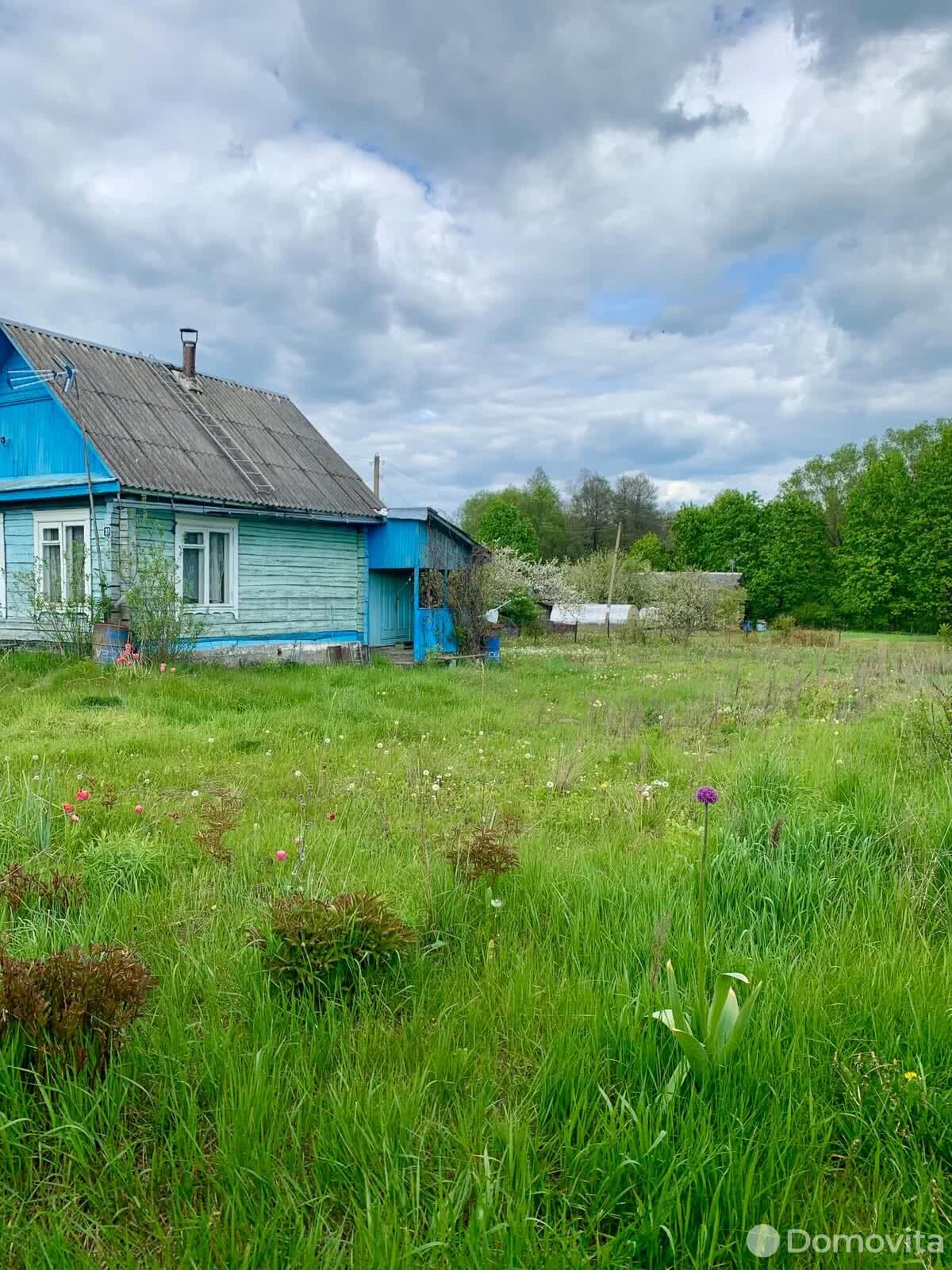 Продажа 1-этажного дома в Повязыни, Минская область , 16900USD, код 636300 - фото 3
