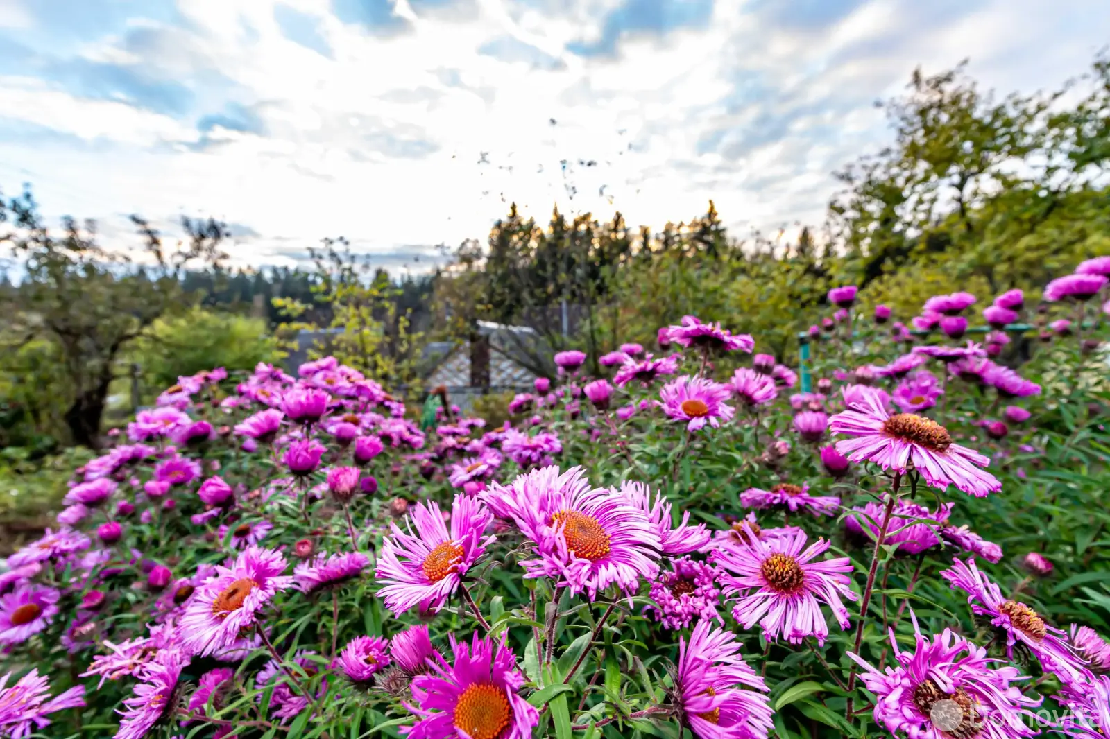 Купить 2-этажную дачу в Лукоморье Минская область, 29900USD, код 184369 - фото 26