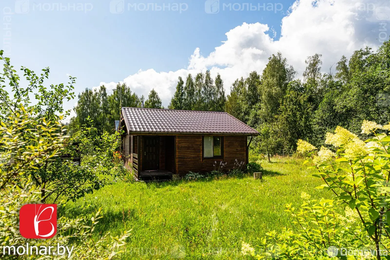 Купить 1-этажную дачу в Крыница-92 Минская область, 28000USD, код 183786 - фото 18