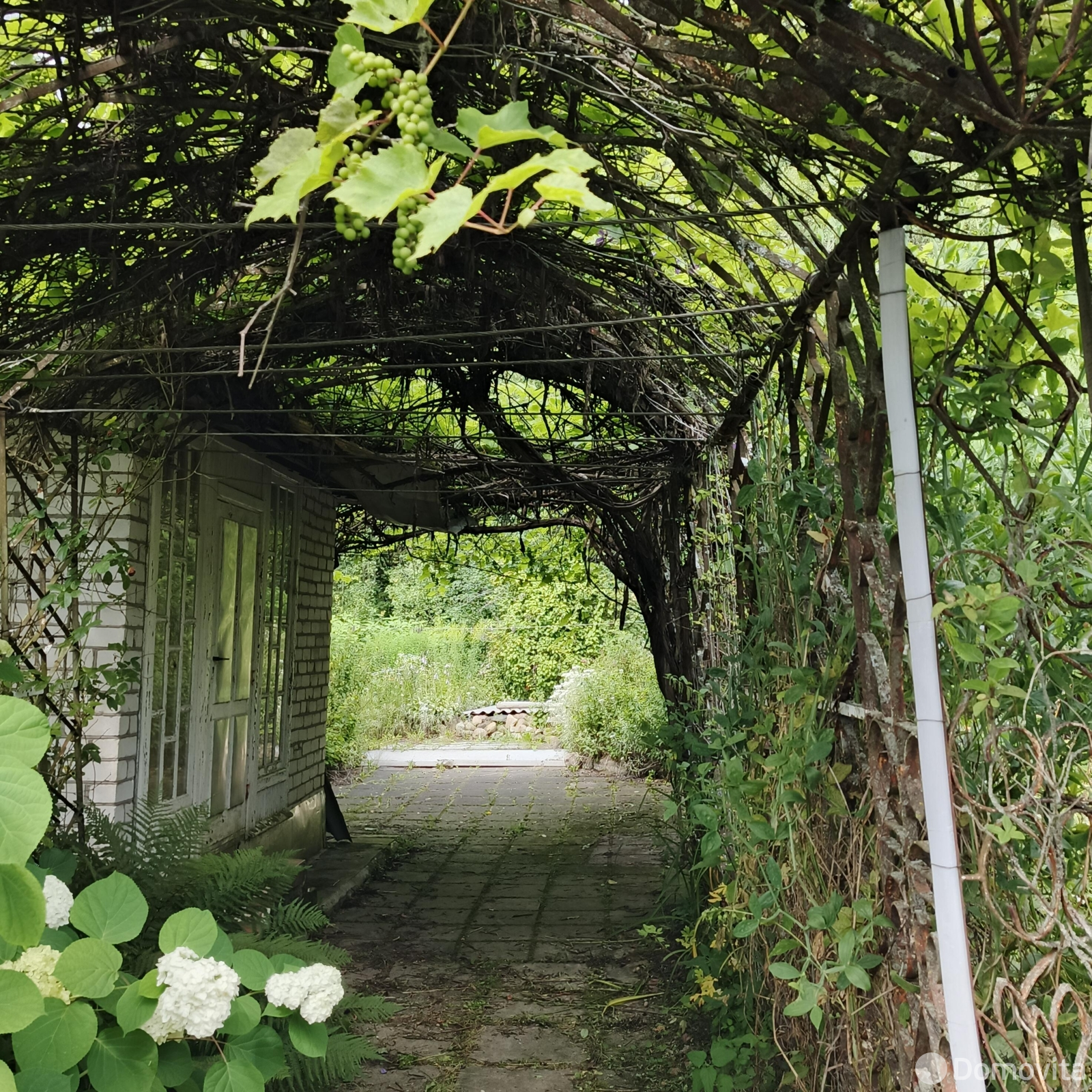 купить дачу, ГОРИЗОНТ-82, д. 287