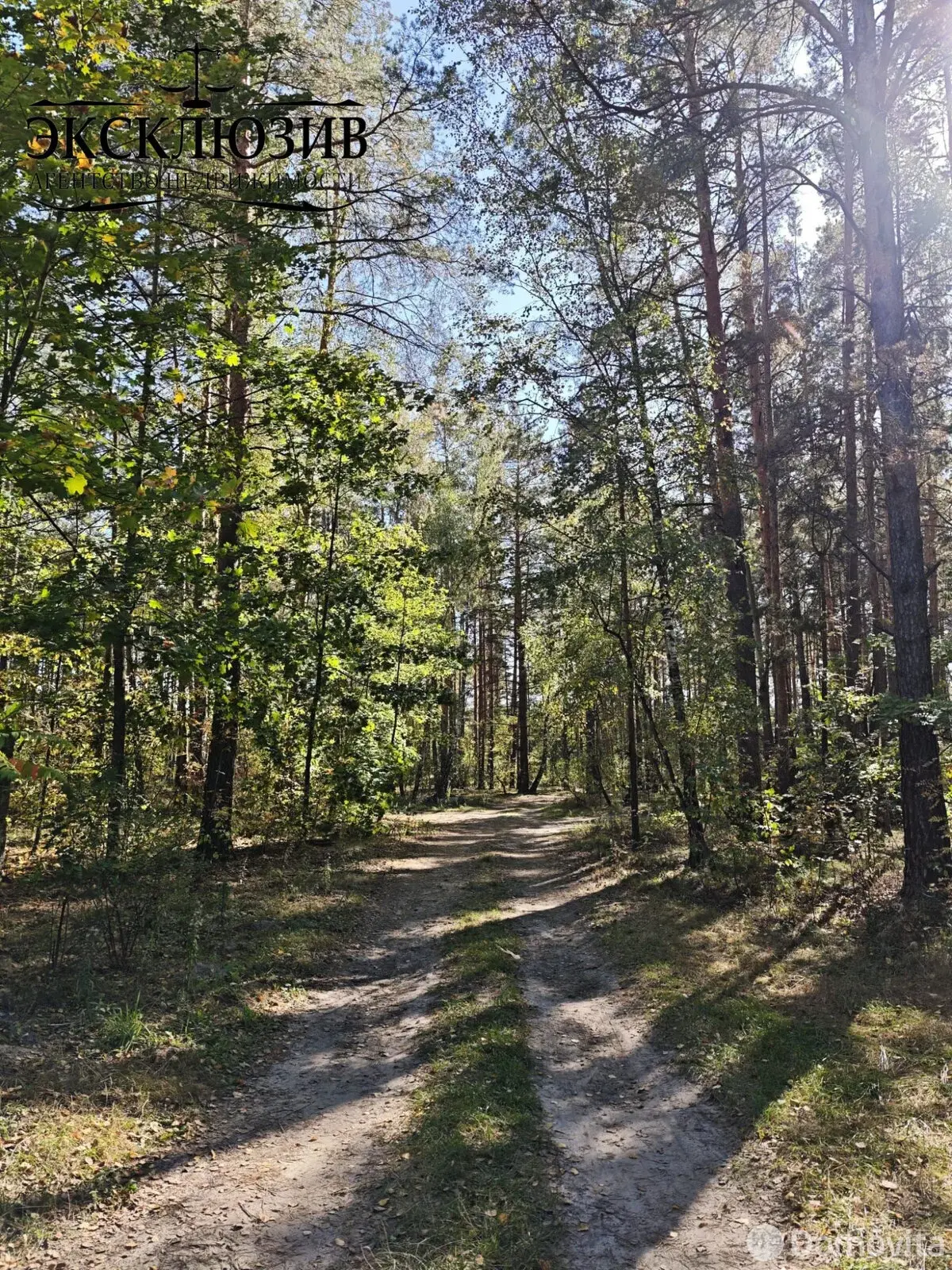 Продажа 1-этажной дачи в Калинино Гомельская область, 51000BYN, код 186113 - фото 21