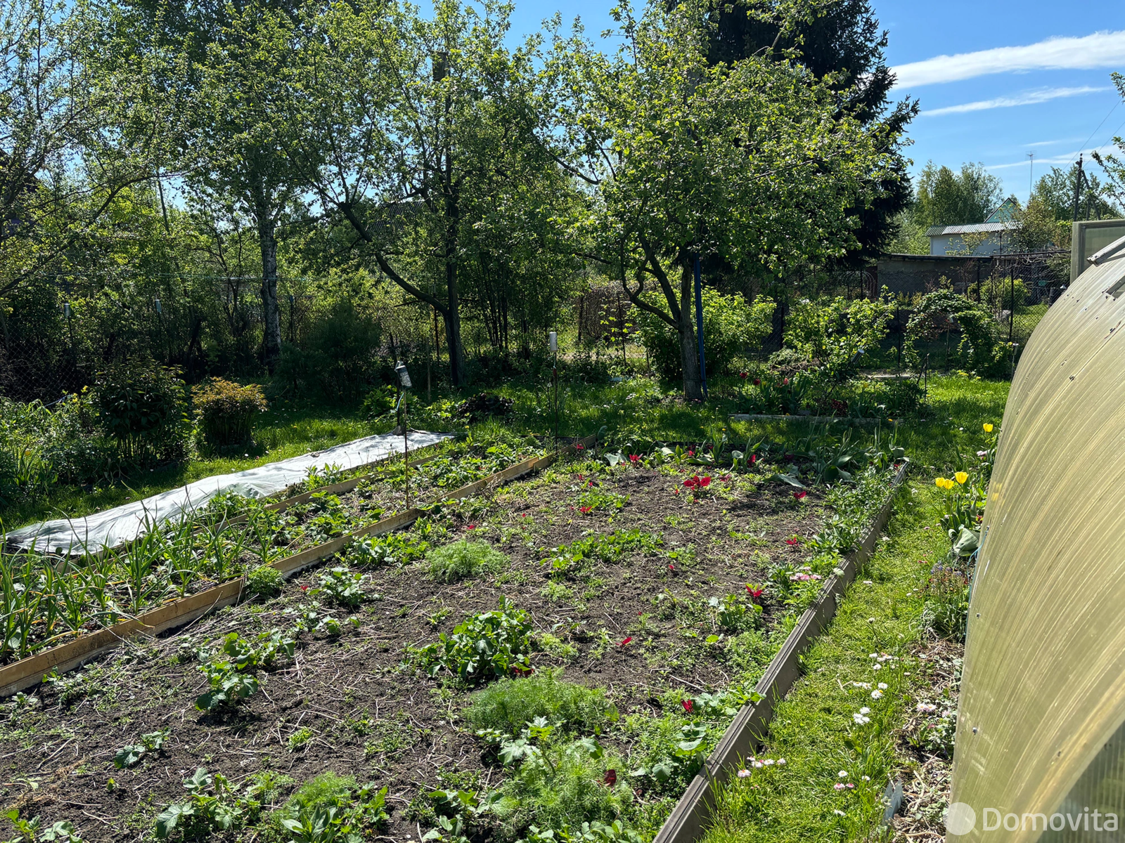 Продажа 1-этажной дачи в Голубика Минская область, 5250USD, код 182859 - фото 30