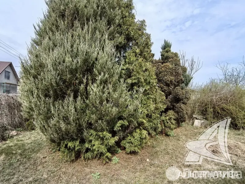 Купить 2-этажную дачу в Радуга Брестская область, 20000USD, код 185266 - фото 12