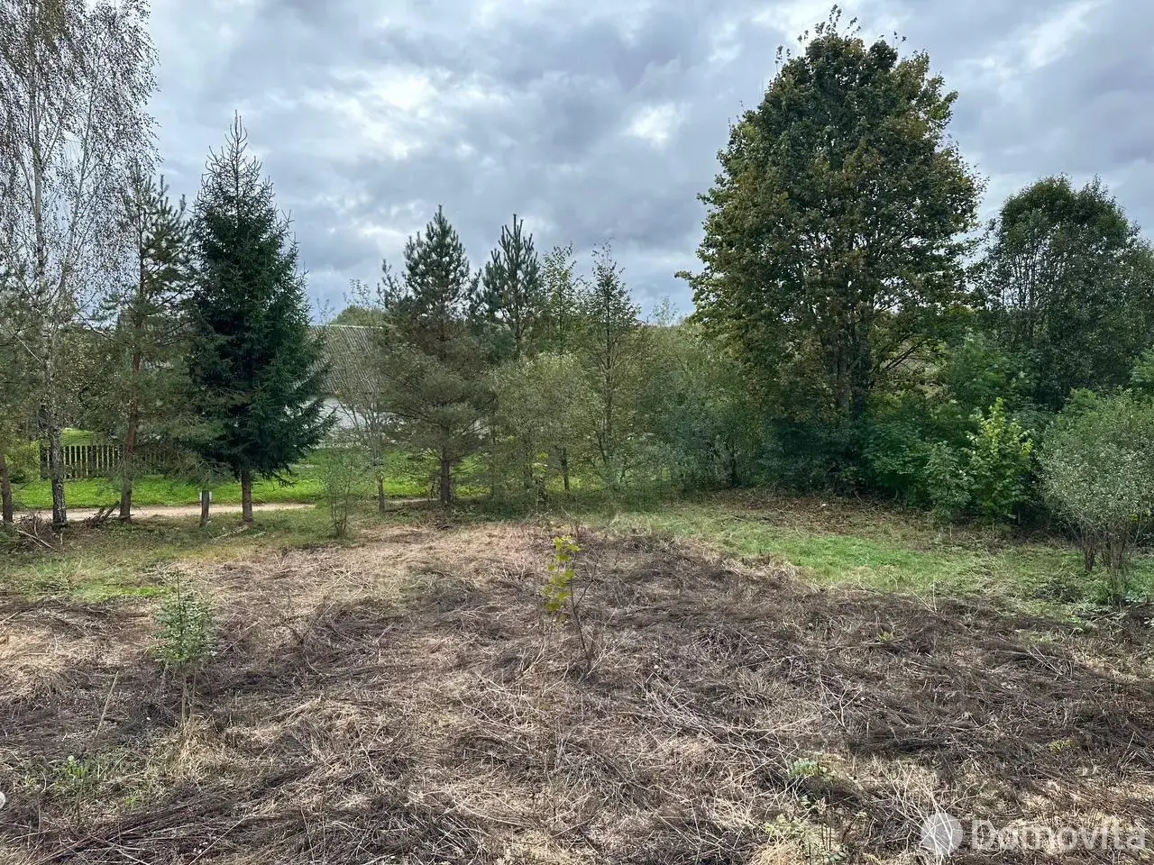 Купить земельный участок, 12.07 соток, Падеричи, Минская область, 5000USD, код 571029 - фото 11